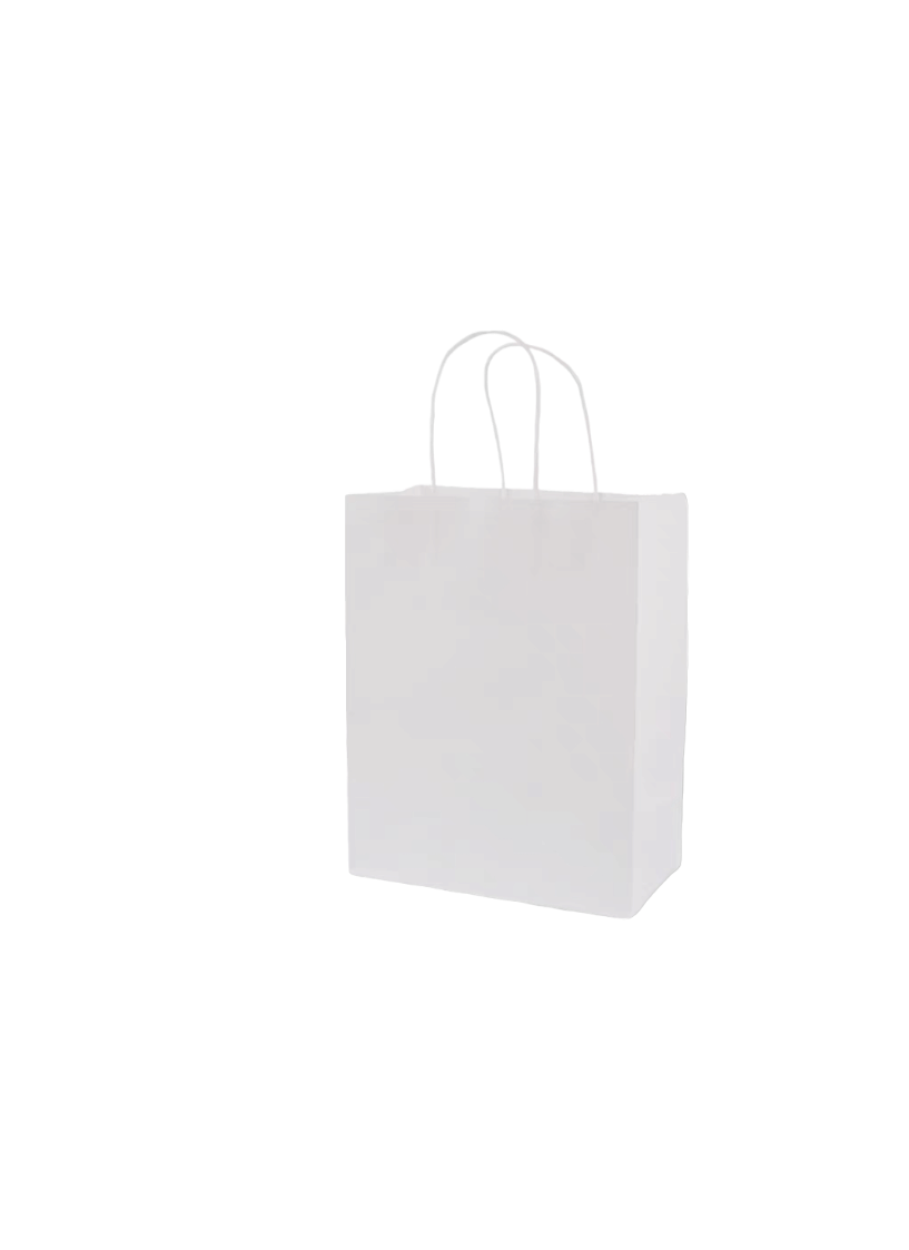 LOT DE 120 -Sacs papier kraft /16*8*22cm (couleurs mélangées)