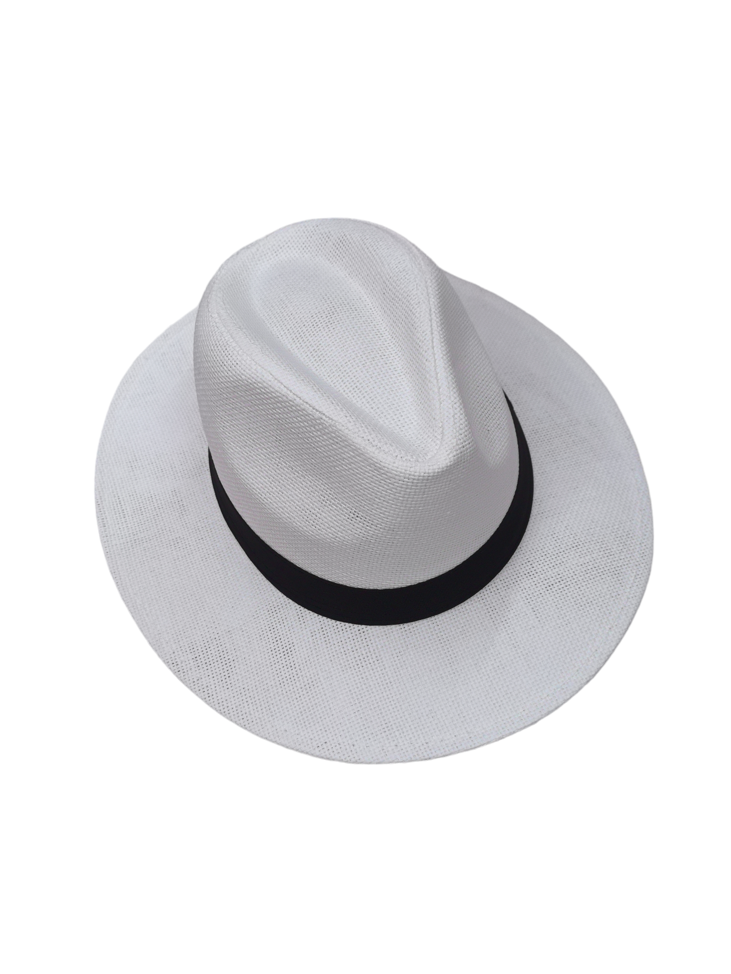 Chapeaux borsalino paille (x12)#2305