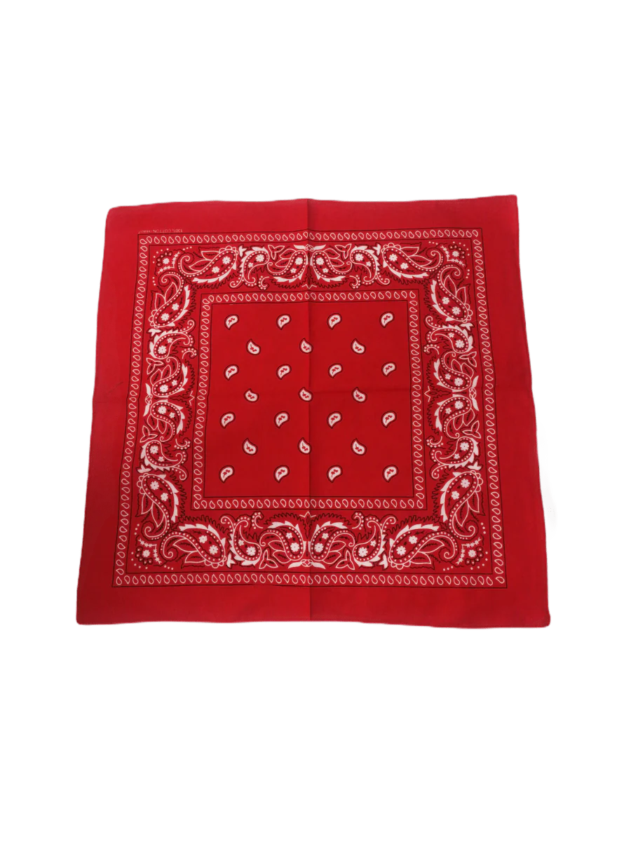 Bandana 100% coton Motif Paisley (x12)