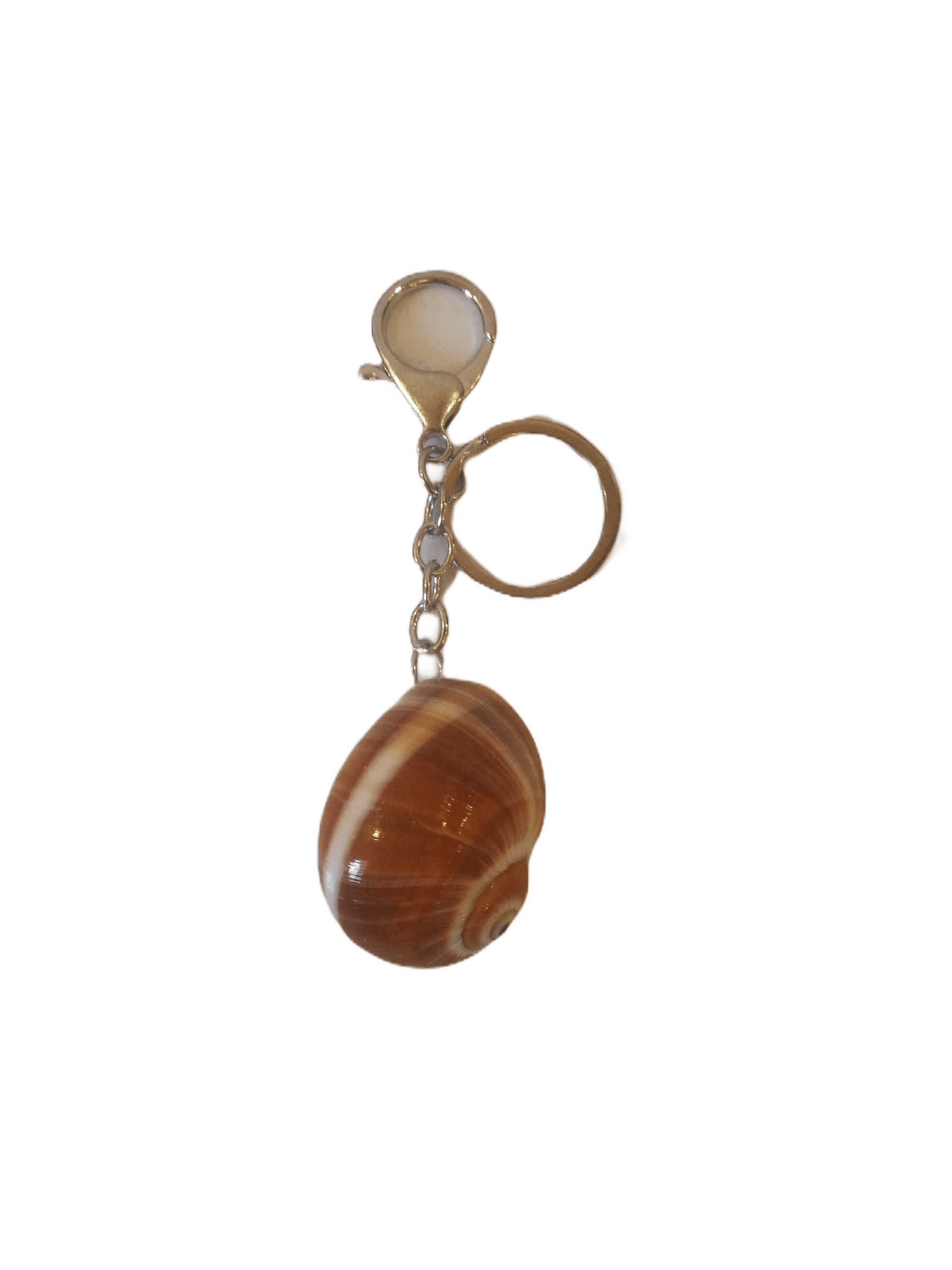 LOT DE 12 - Porte-clé coquillage - Décoration naturelle et bohème 1,00€/unité | Grossiste-pro