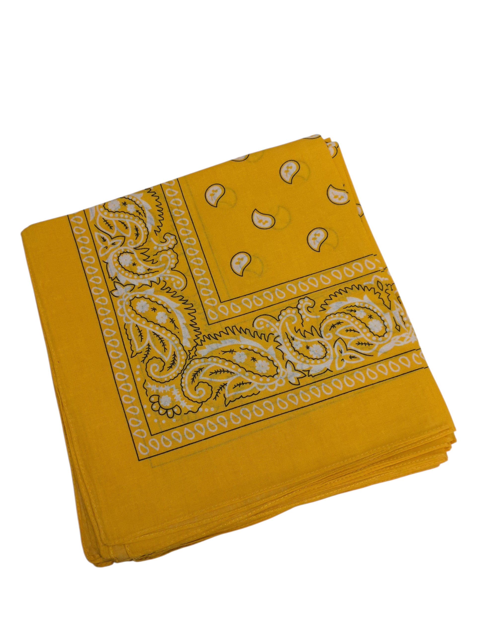 Bandana 100% coton Motif Paisley  (x12)