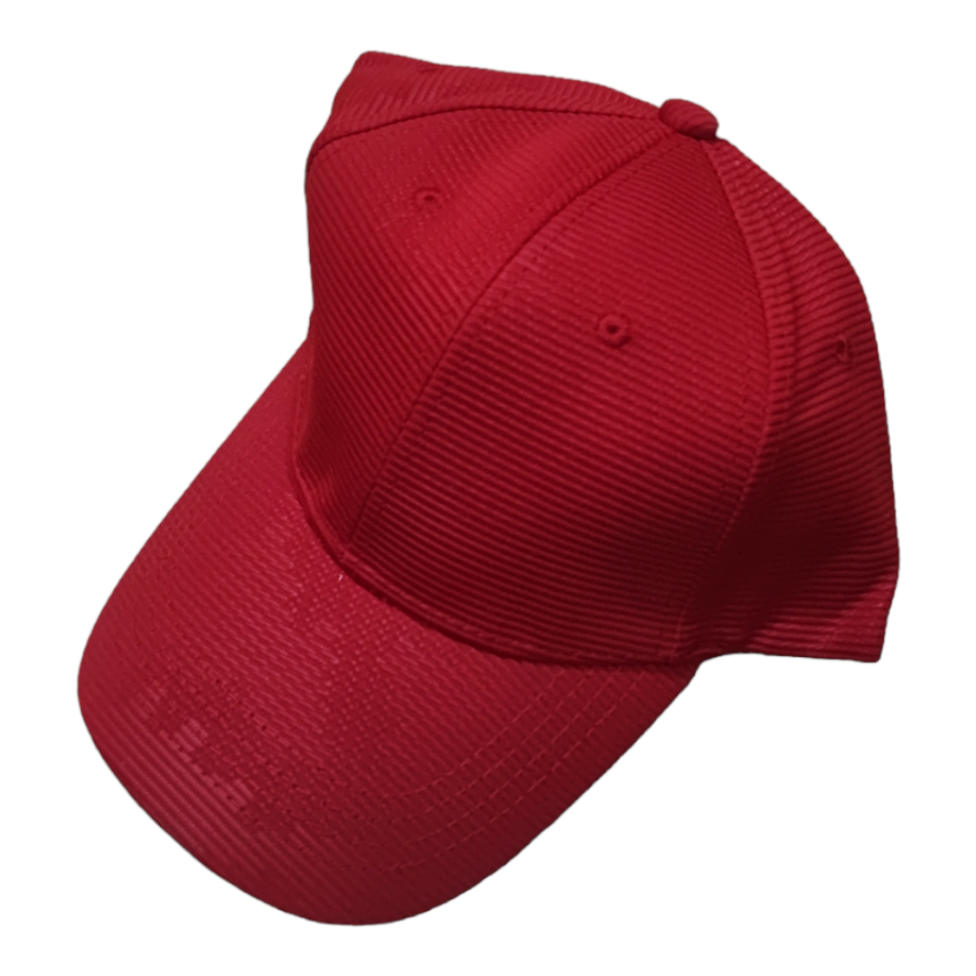 Casquettes (x12) CD34-16